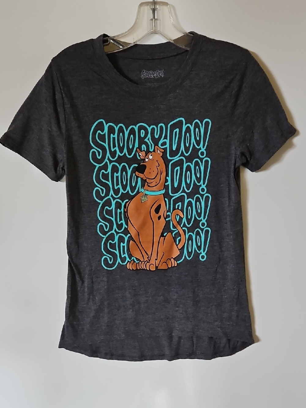 Scooby-Doo! Short Sleeve Graphic Tee Med Gray Teal And Brown Rut-Roh! Toons